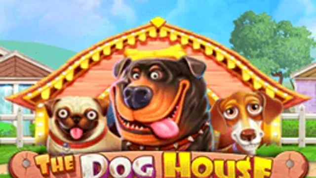 The Dog House Megaways von Pragmatic Play